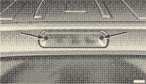 Кликните для увеличения