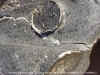 dana44_crack_33.jpg (96331 bytes)