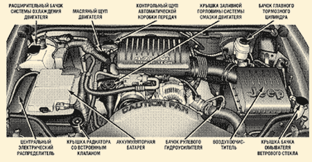 Кликните для увеличения