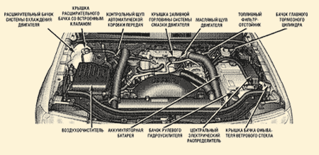 Кликните для увеличения